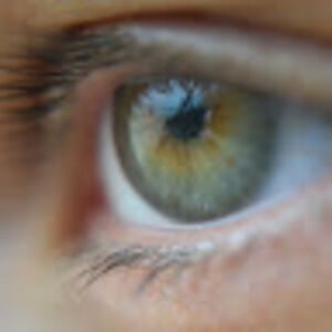 Meet your Posher, Athena